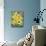 Sunflowers with Wild Flowers-Joanne Porter-Mounted Giclee Print displayed on a wall