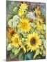 Sunflowers with Wild Flowers-Joanne Porter-Mounted Premium Giclee Print