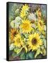Sunflowers with Wild Flowers-Joanne Porter-Framed Stretched Canvas