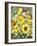 Sunflowers with Wild Flowers-Joanne Porter-Framed Giclee Print