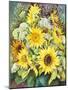 Sunflowers with Wild Flowers-Joanne Porter-Mounted Giclee Print