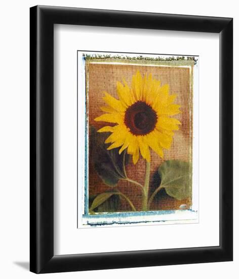 Sunflowers-Vincenzo Ferrato-Framed Art Print