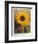 Sunflowers-Vincenzo Ferrato-Framed Art Print