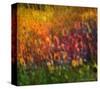 Sunflowers-Chris Vest-Stretched Canvas