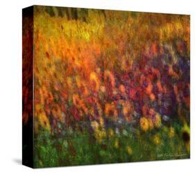 Sunflowers-Chris Vest-Stretched Canvas