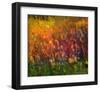 Sunflowers-Chris Vest-Framed Art Print