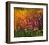 Sunflowers-Chris Vest-Framed Art Print