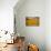 Sunflowers-Piotr Krol-Stretched Canvas displayed on a wall