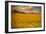 Sunflowers-Piotr Krol-Framed Photographic Print