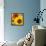 Sunflowers-DLILLC-Framed Stretched Canvas displayed on a wall