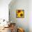 Sunflowers-DLILLC-Framed Stretched Canvas displayed on a wall