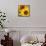 Sunflowers-DLILLC-Framed Stretched Canvas displayed on a wall