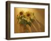 Sunflowers-Anna Miller-Framed Photographic Print