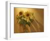 Sunflowers-Anna Miller-Framed Photographic Print