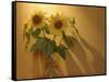 Sunflowers-Anna Miller-Framed Stretched Canvas