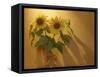 Sunflowers-Anna Miller-Framed Stretched Canvas