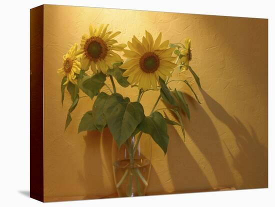 Sunflowers-Anna Miller-Stretched Canvas