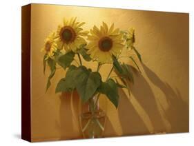 Sunflowers-Anna Miller-Stretched Canvas