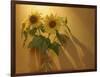 Sunflowers-Anna Miller-Framed Photographic Print