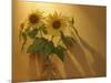 Sunflowers-Anna Miller-Mounted Photographic Print