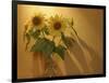 Sunflowers-Anna Miller-Framed Photographic Print