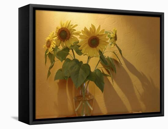 Sunflowers-Anna Miller-Framed Stretched Canvas