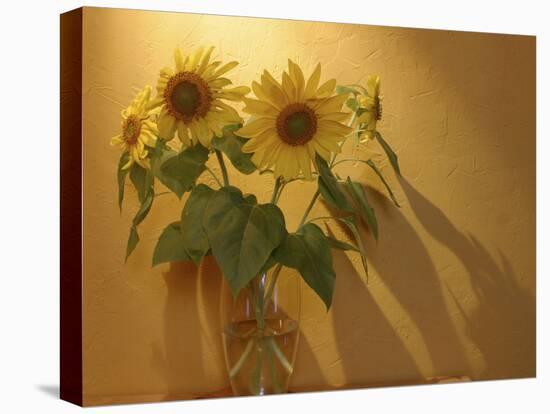 Sunflowers-Anna Miller-Stretched Canvas