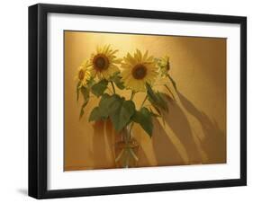 Sunflowers-Anna Miller-Framed Photographic Print