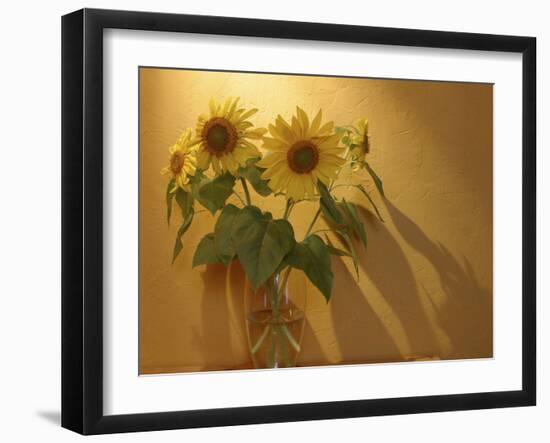 Sunflowers-Anna Miller-Framed Photographic Print