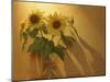 Sunflowers-Anna Miller-Mounted Photographic Print