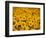 Sunflowers-Darrell Gulin-Framed Photographic Print
