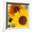 Sunflowers-DLILLC-Framed Photographic Print