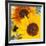 Sunflowers-DLILLC-Framed Photographic Print