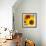 Sunflowers-DLILLC-Framed Photographic Print displayed on a wall