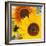 Sunflowers-DLILLC-Framed Photographic Print