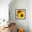 Sunflowers-DLILLC-Framed Photographic Print displayed on a wall