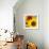 Sunflowers-DLILLC-Framed Photographic Print displayed on a wall