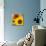 Sunflowers-DLILLC-Mounted Photographic Print displayed on a wall