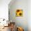 Sunflowers-DLILLC-Mounted Photographic Print displayed on a wall