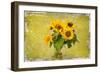 Sunflowers-Philippe Sainte-Laudy-Framed Premium Photographic Print