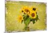 Sunflowers-Philippe Sainte-Laudy-Mounted Photographic Print