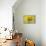 Sunflowers-Philippe Sainte-Laudy-Stretched Canvas displayed on a wall