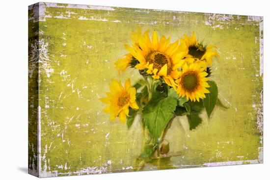 Sunflowers-Philippe Sainte-Laudy-Stretched Canvas