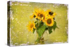 Sunflowers-Philippe Sainte-Laudy-Stretched Canvas