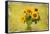 Sunflowers-Philippe Sainte-Laudy-Framed Stretched Canvas