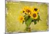 Sunflowers-Philippe Sainte-Laudy-Mounted Photographic Print