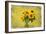 Sunflowers-Philippe Sainte-Laudy-Framed Photographic Print