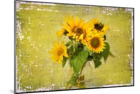 Sunflowers-Philippe Sainte-Laudy-Mounted Photographic Print