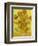 Sunflowers-Vincent van Gogh-Framed Art Print