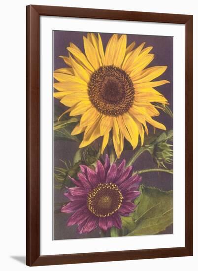 Sunflowers-null-Framed Art Print
